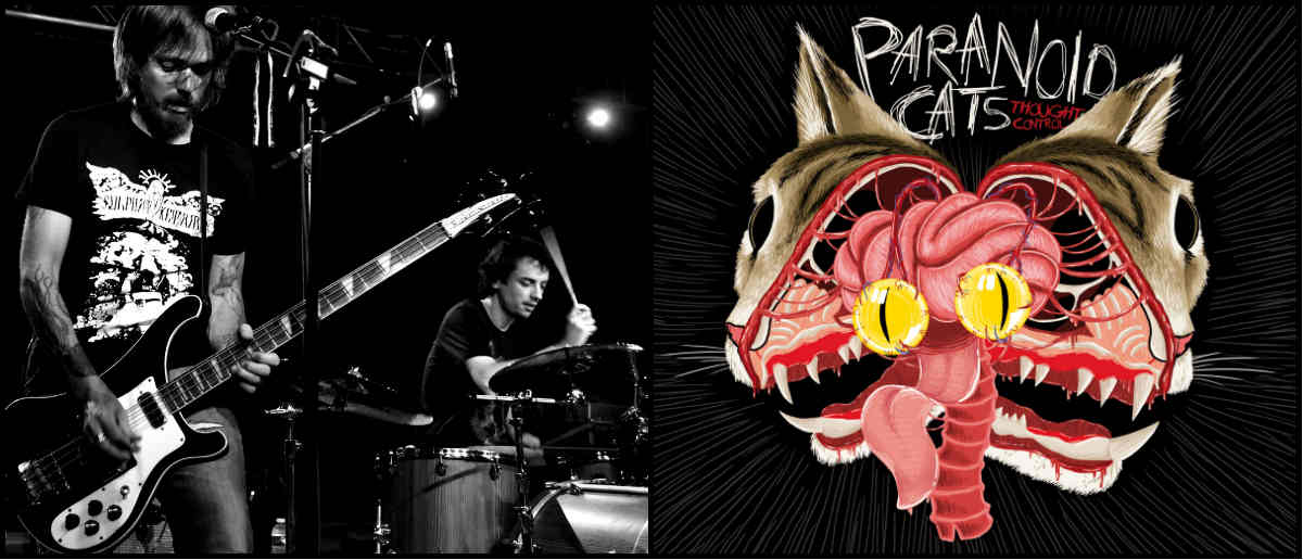 paranoid cats - though control - grunge - metal - rock 