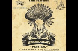 buffalo beats festival - LGNE grenoble - festival grenoble - festival electro grenoble